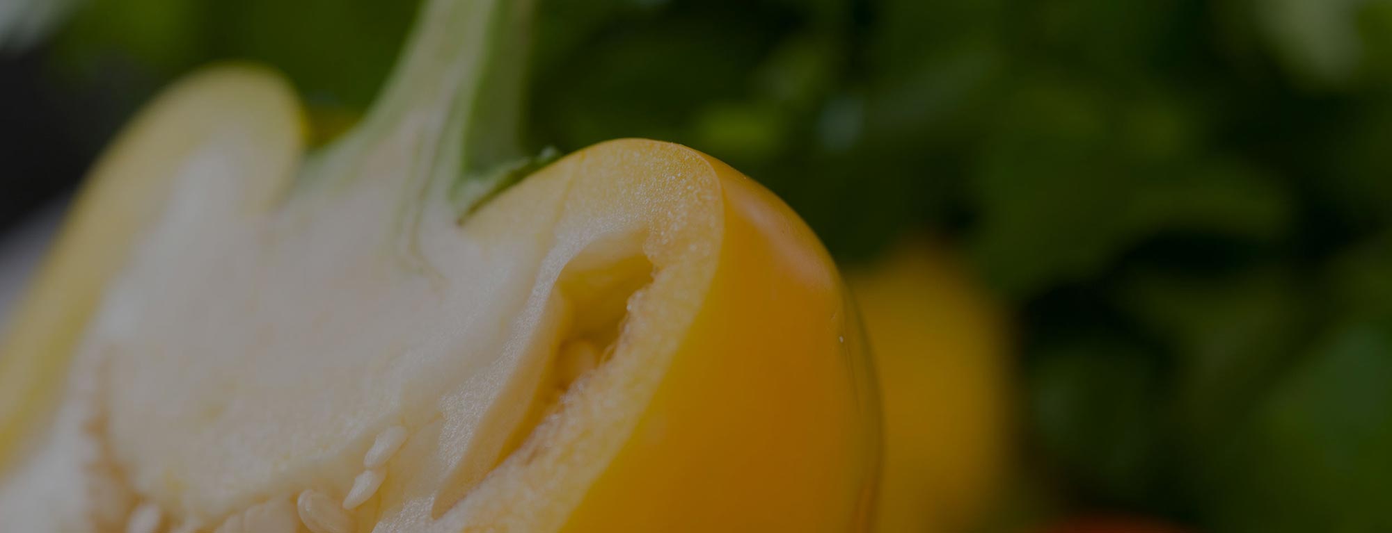 Seitentrennerbild mit gelber Paprika