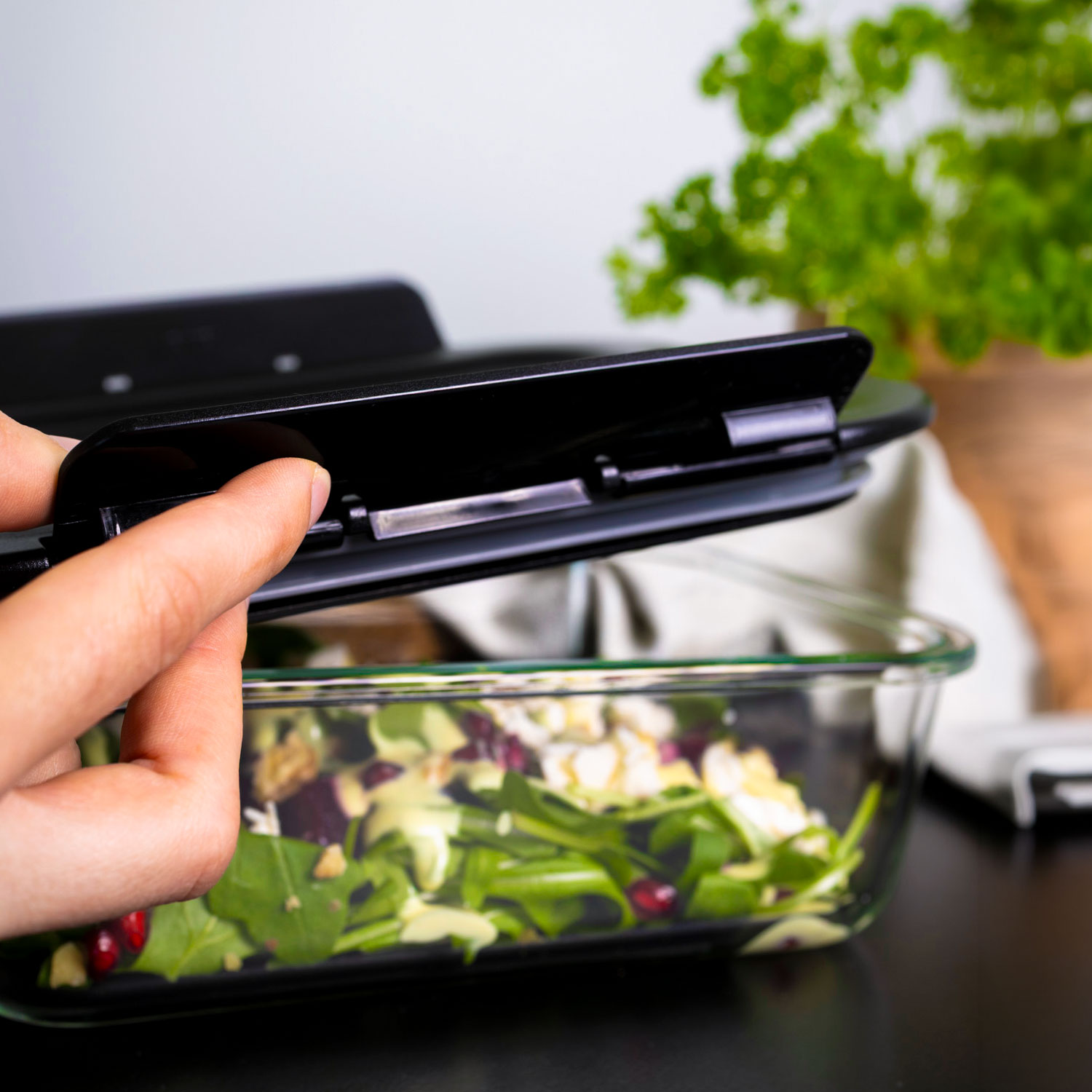 Hand öffnet luftdichten Deckel eines Vakuumbehälters aus Glas mit frischem Salat
