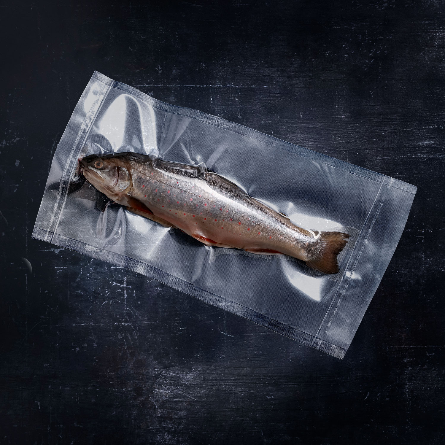 E-Vac vacuum roll product image